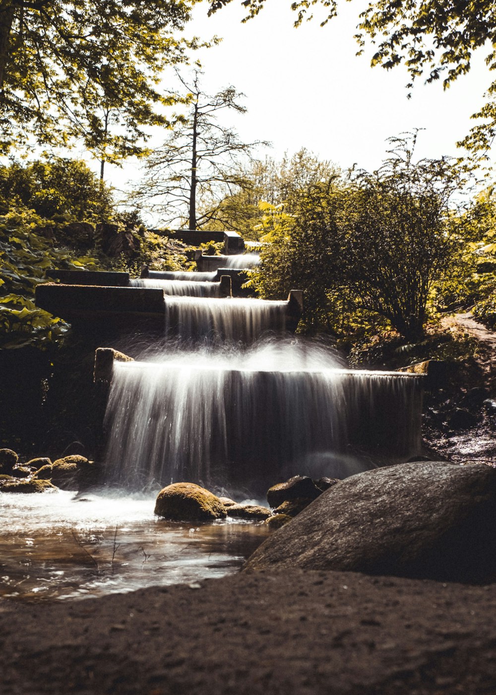 water falls in the middle of green trees