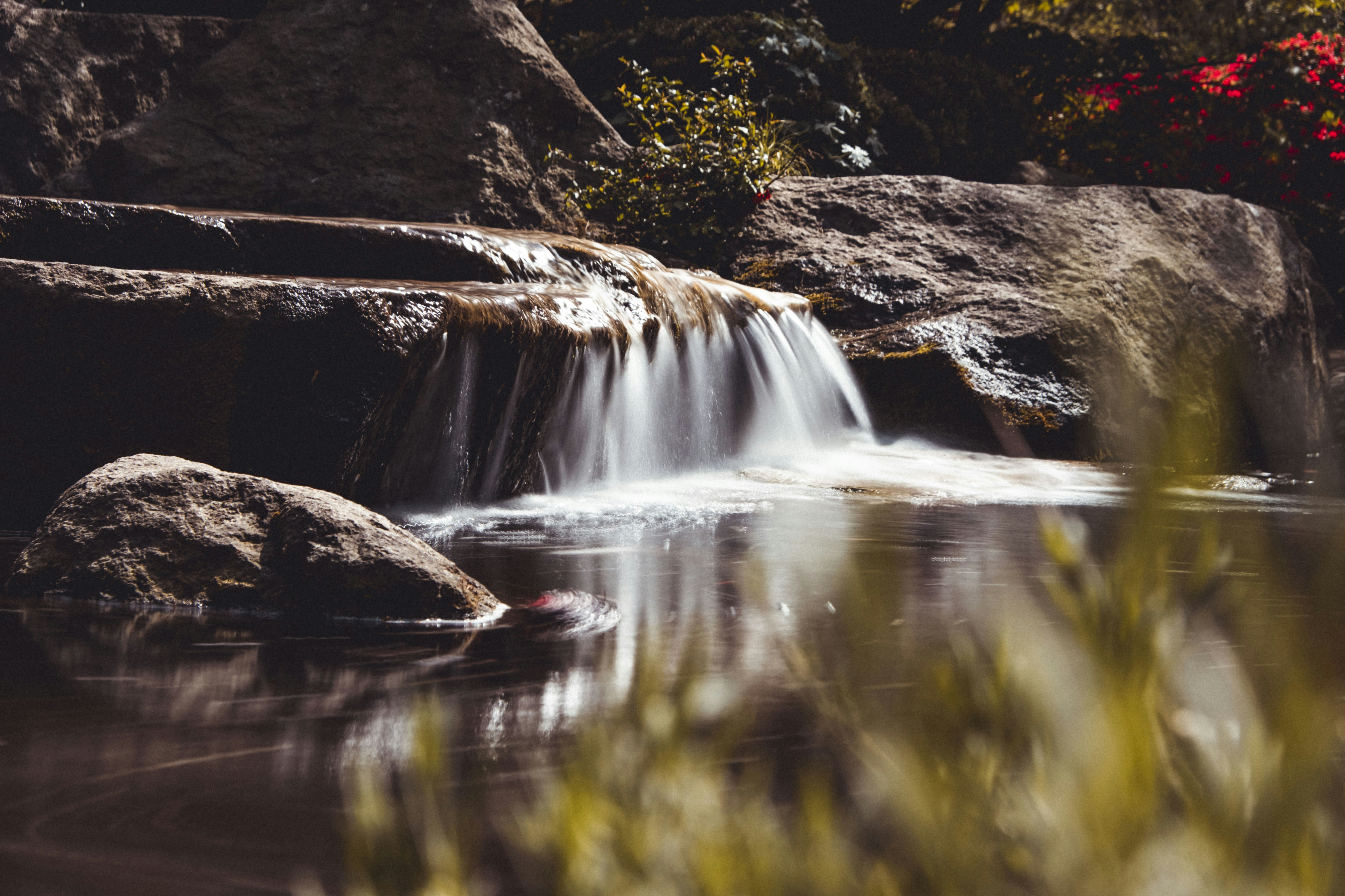 Photo by moritz_photography