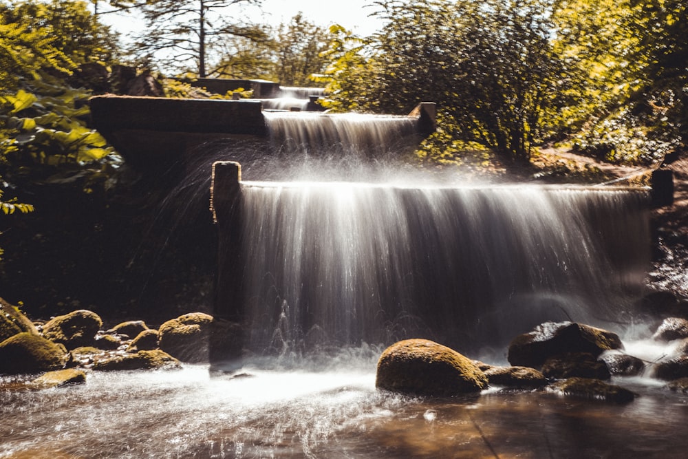 El agua cae en medio del bosque durante el día