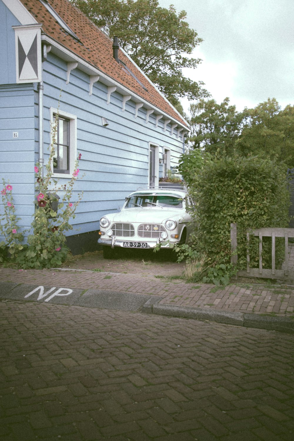 white car parked beside green tree