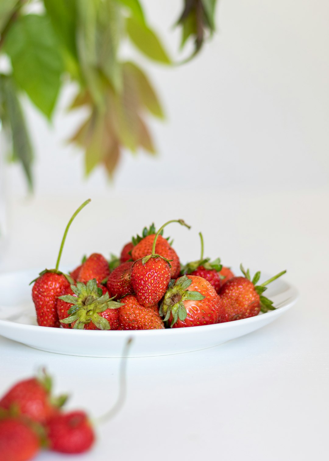 strawberries on white ceramic bowl