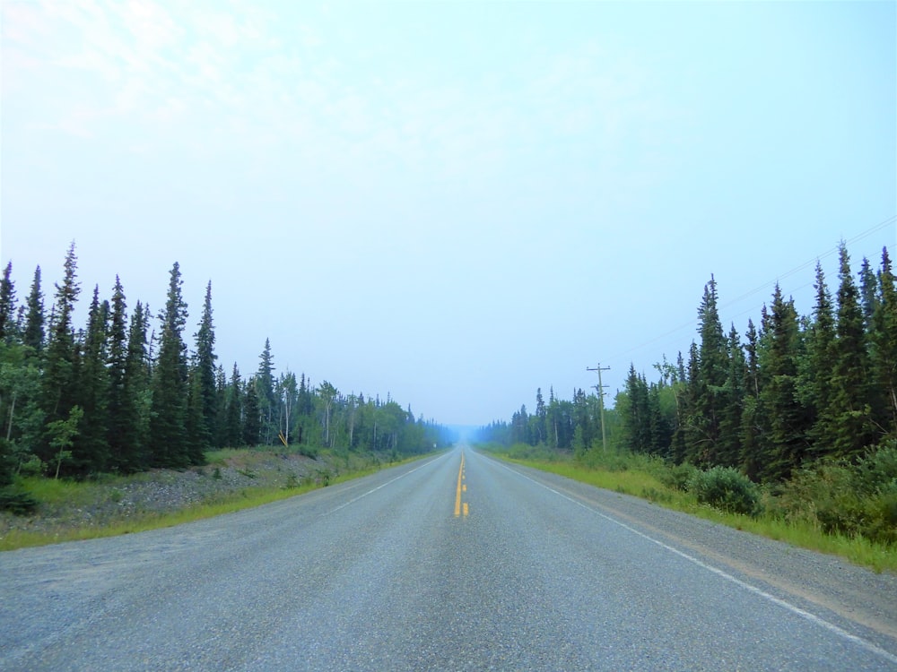 gray asphalt road between green trees under white sky during daytime