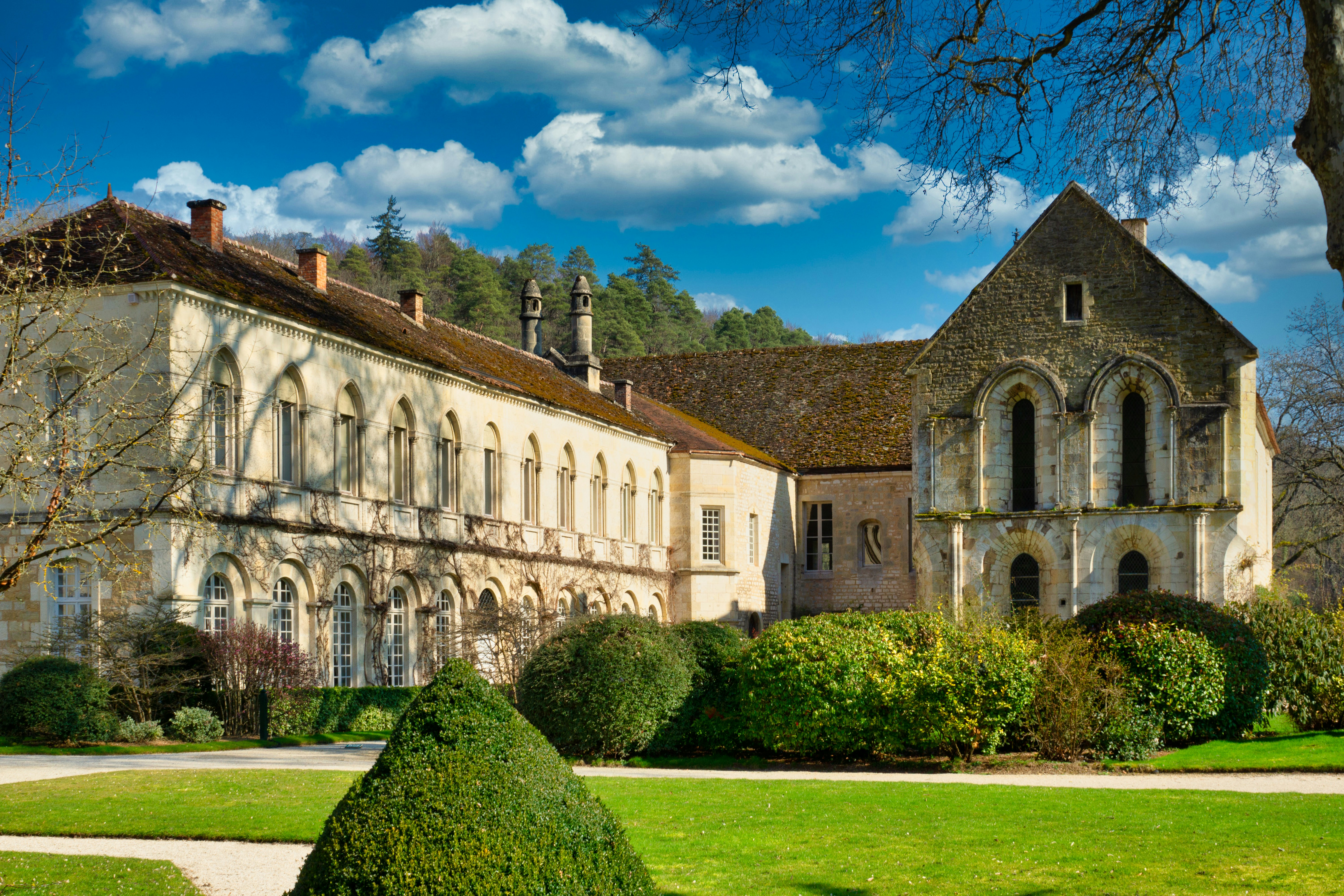 Abbaye Saint-Victor (Saint-Victor Abbey) photo 2
