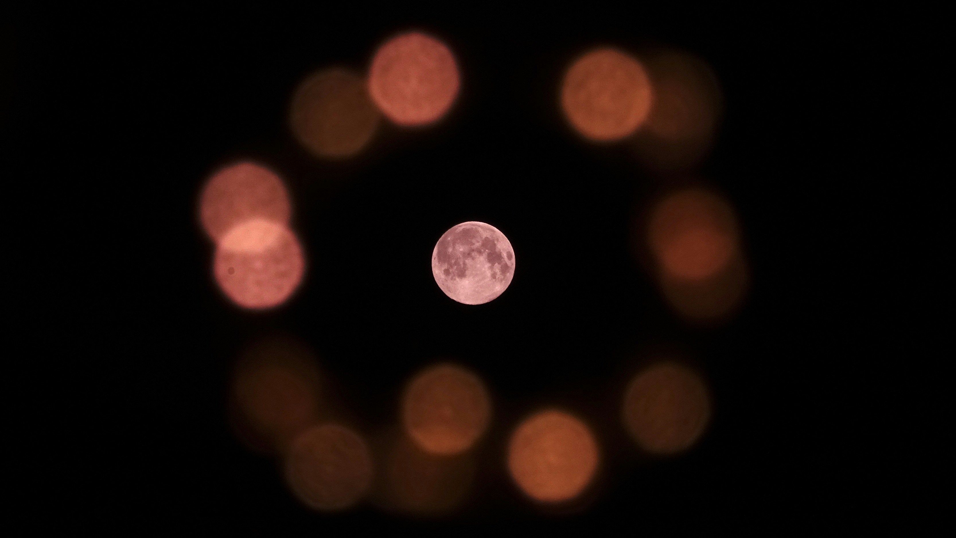 pink and white bokeh lights