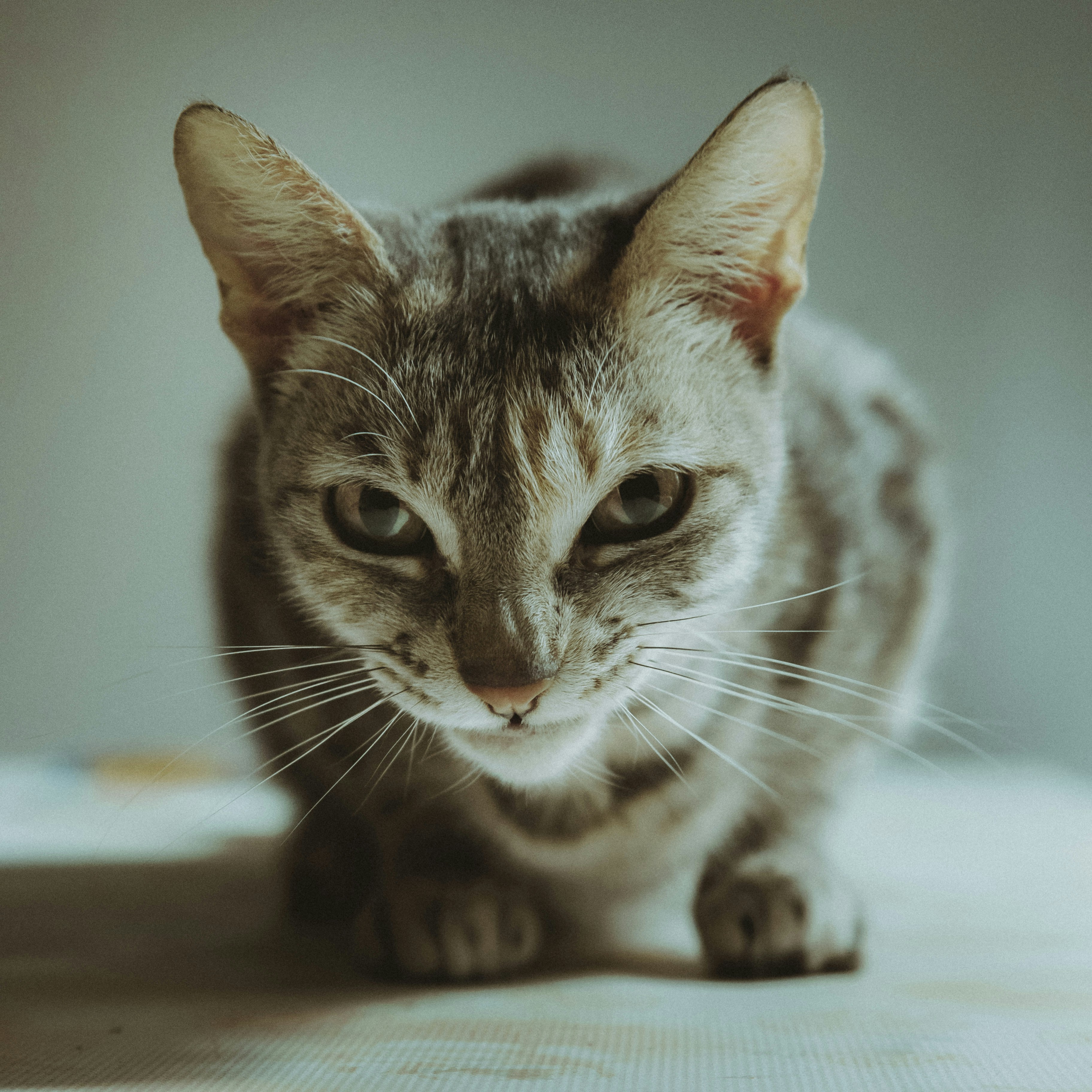 Photo by vanderphoto