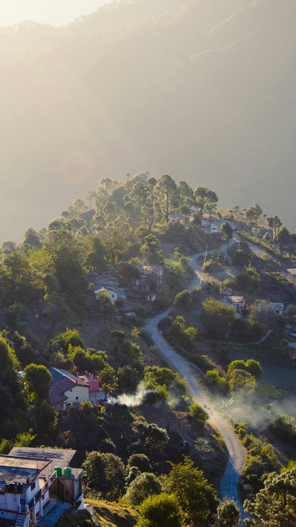 green trees on mountain during daytime