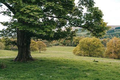 Balloch Castle & Country Park - Aus Gardens, United Kingdom