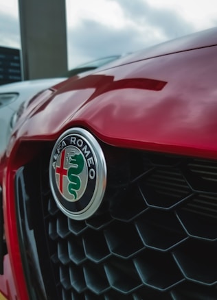 Close-up of a car's front grille featuring the Alfa Romeo emblem. The emblem displays a distinctive red cross and a green serpent on a metallic badge. The car's body is a glossy red color, with chrome accents that reflect the overcast sky.