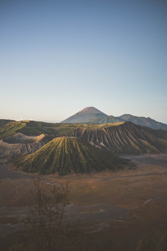 brown and green mountain under blue sky during daytime in Bromo Tengger Semeru National Park Indonesia
