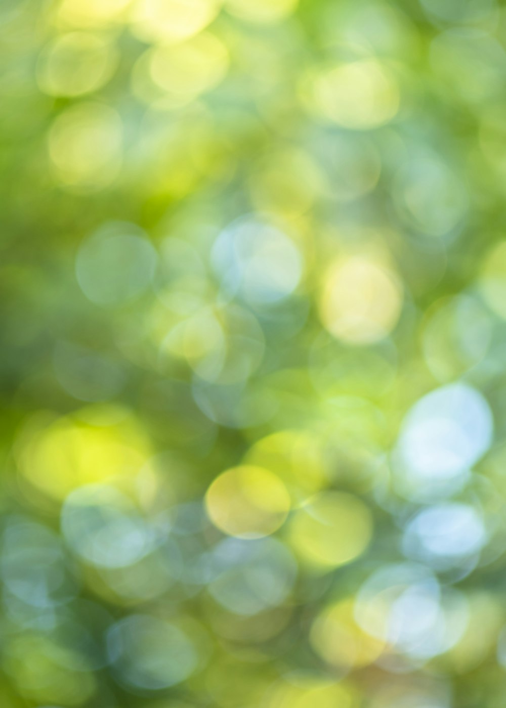 Grüne und weiße Bokeh-Leuchten