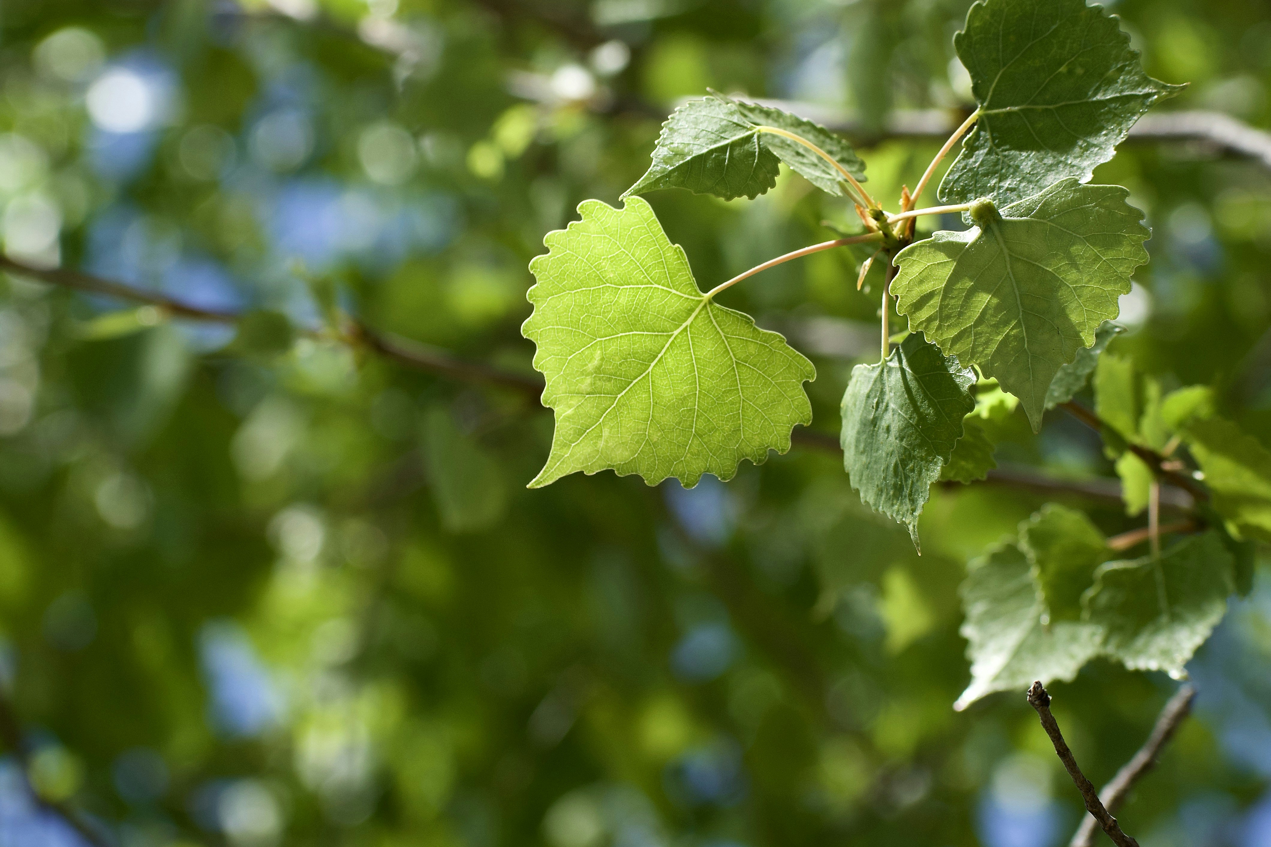 Photo by elisastonephotography