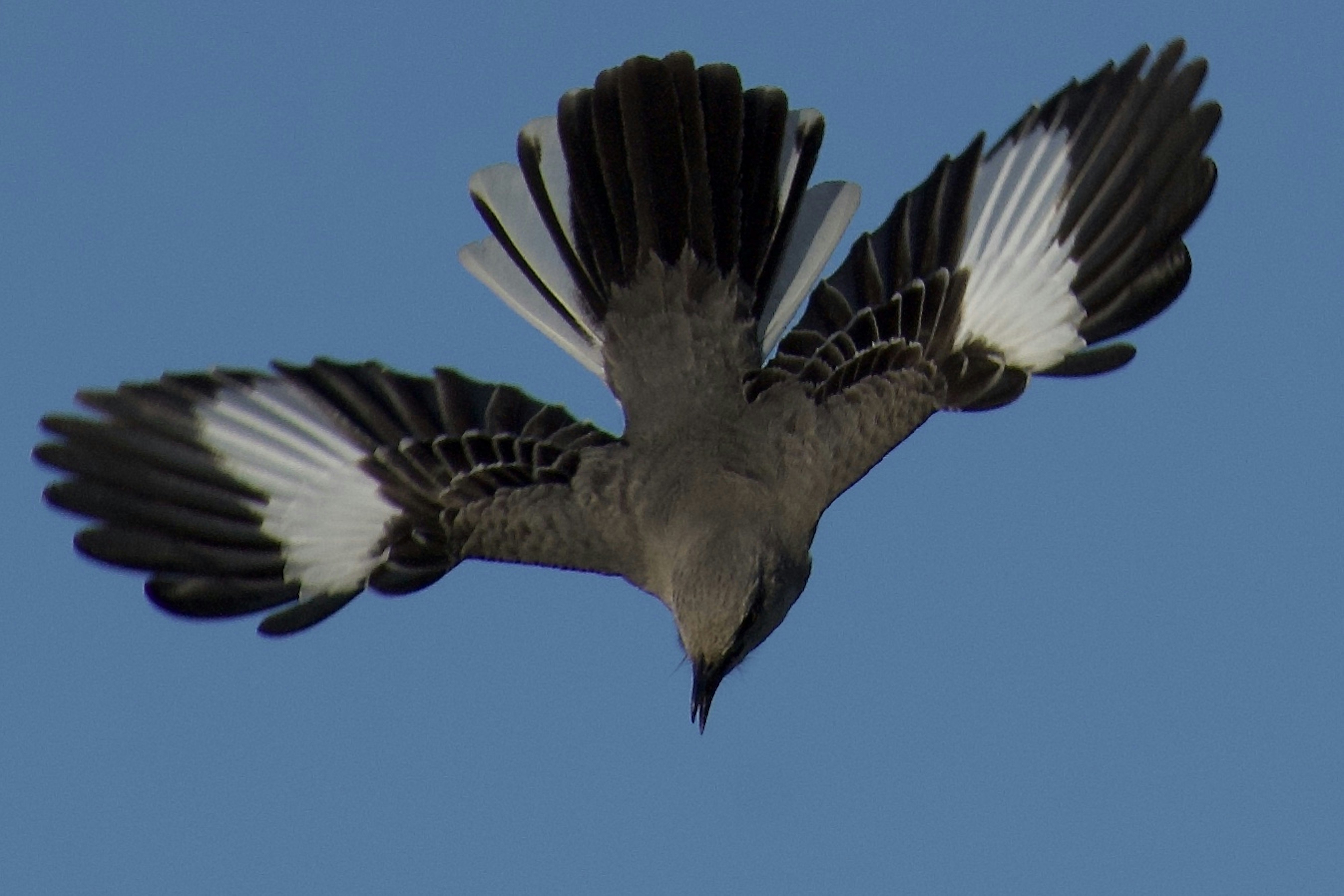 Photo by elisastonephotography