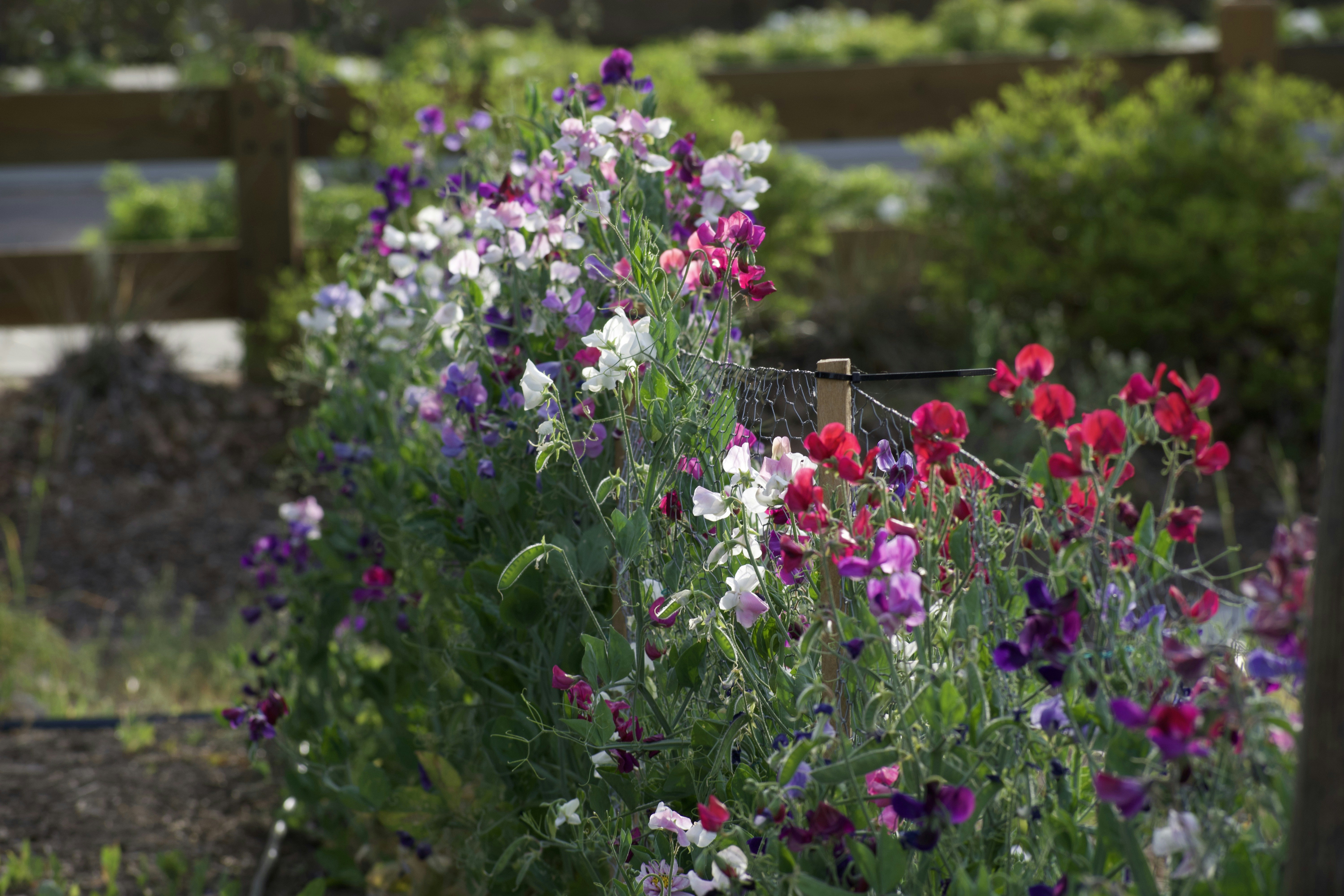 Photo by elisastonephotography