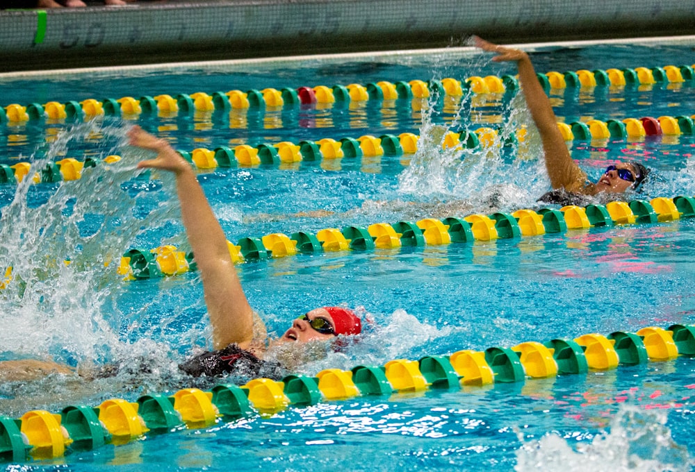 person swimming in the pool