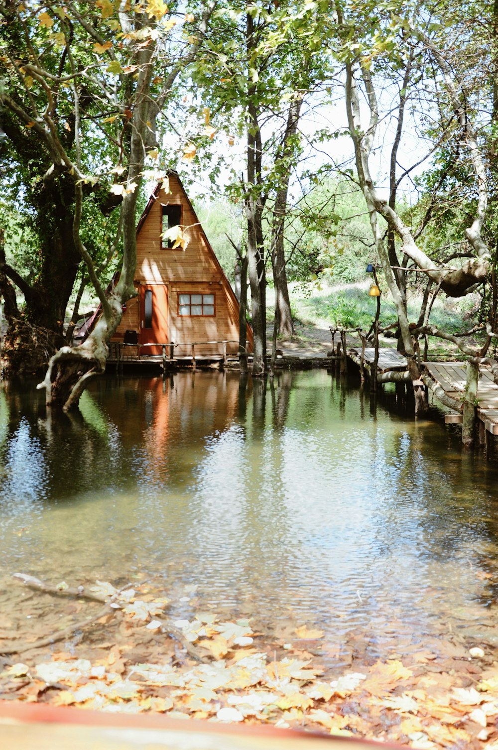 brown wooden house on river bank during daytime