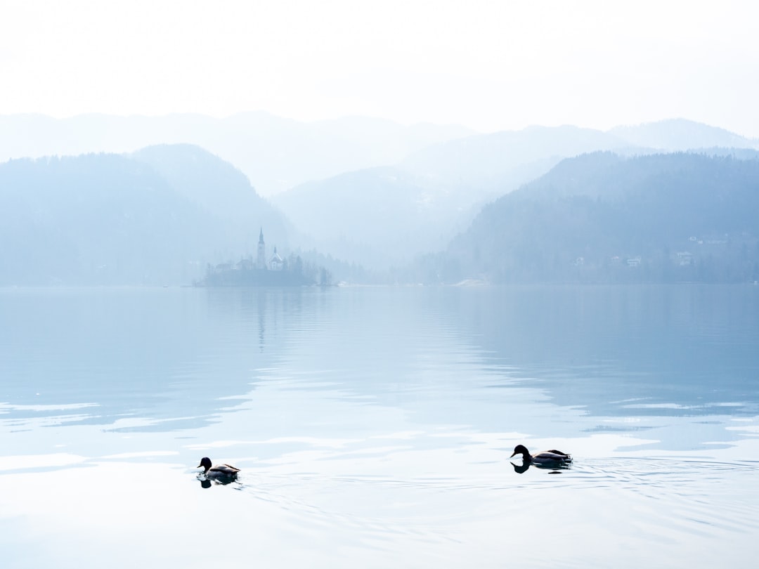 Mountain photo spot Bled Straza hill above Lake Bled