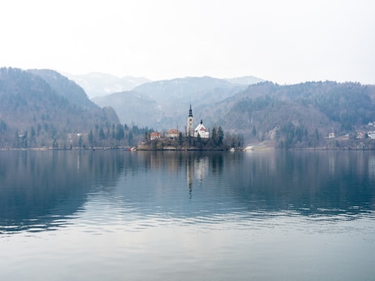 body of water near mountain during daytime in Straza hill above Lake Bled Slovenia