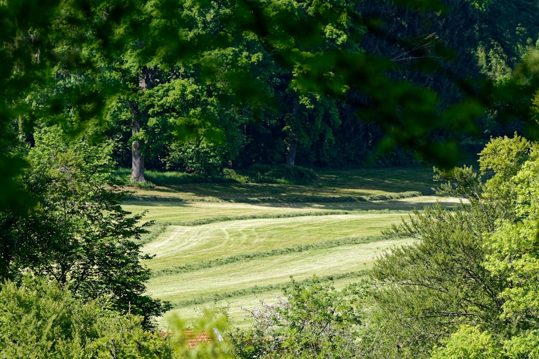 photo of Prien am Chiemsee Nature reserve near Kampenwand