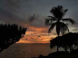 A scenic coastal view with palm trees and calm ocean waters at sunset.