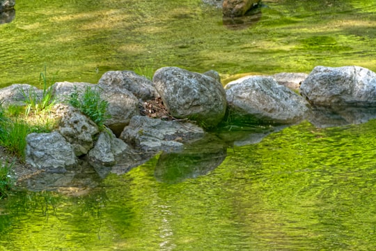 gray rocks on green grass field near body of water during daytime in Prien am Chiemsee Germany