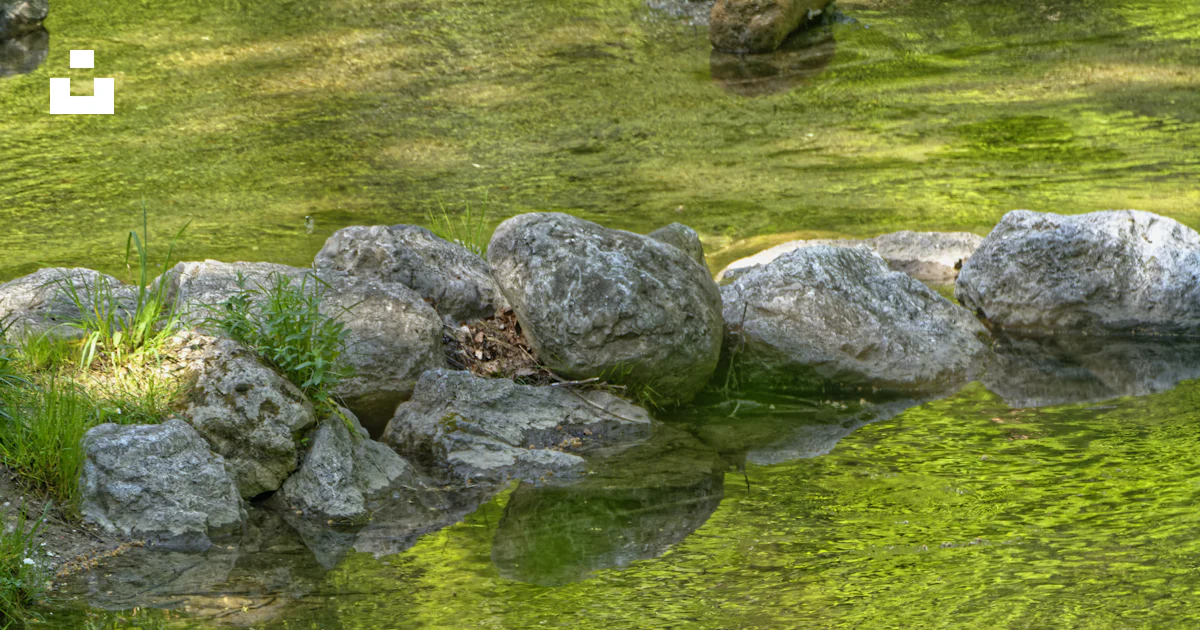 Gray rocks on green grass field near body of water during daytime photo ...