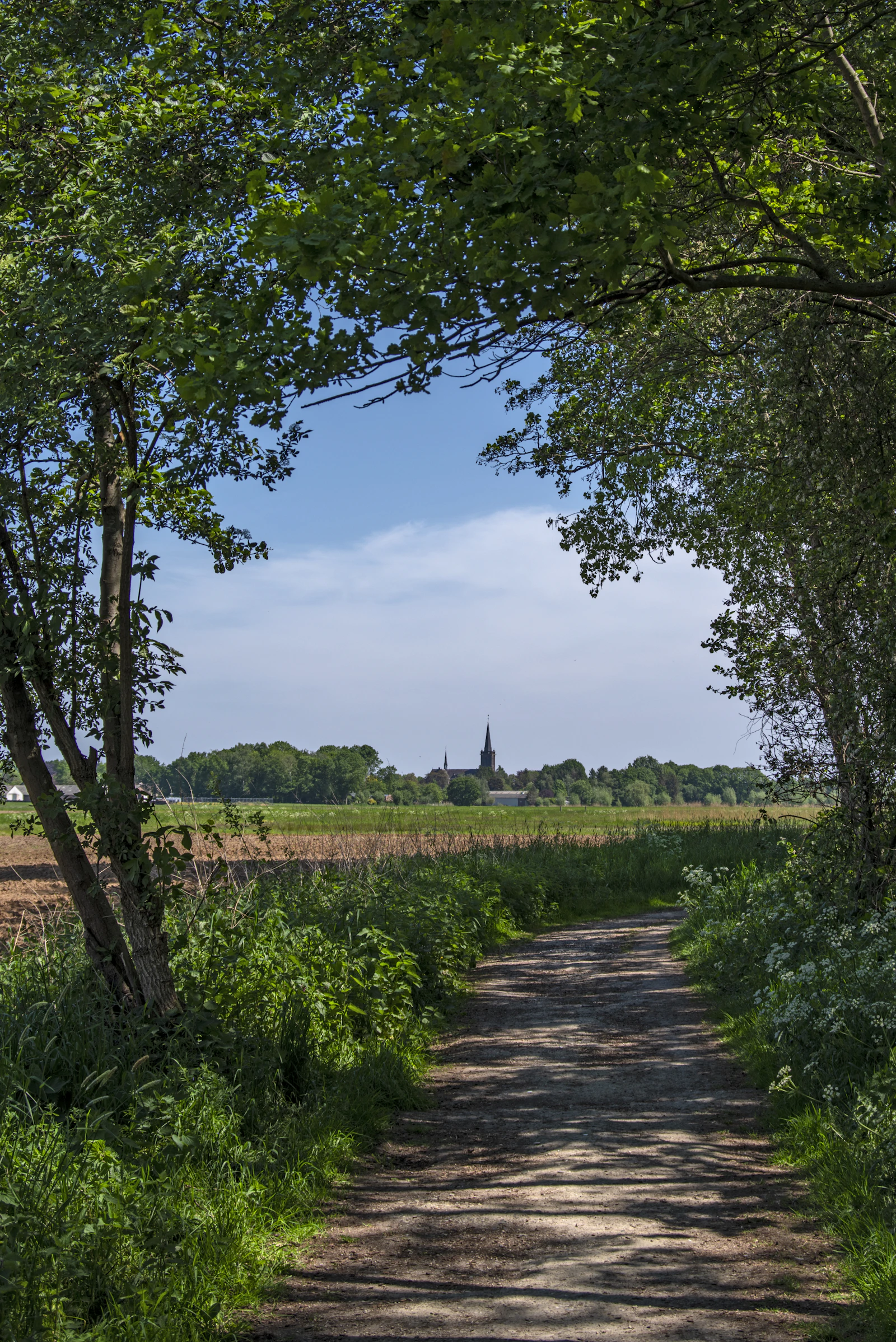 Fries dorp met kerktoren en groene weilanden in de zomer, fysieke leefomgeving Friesland