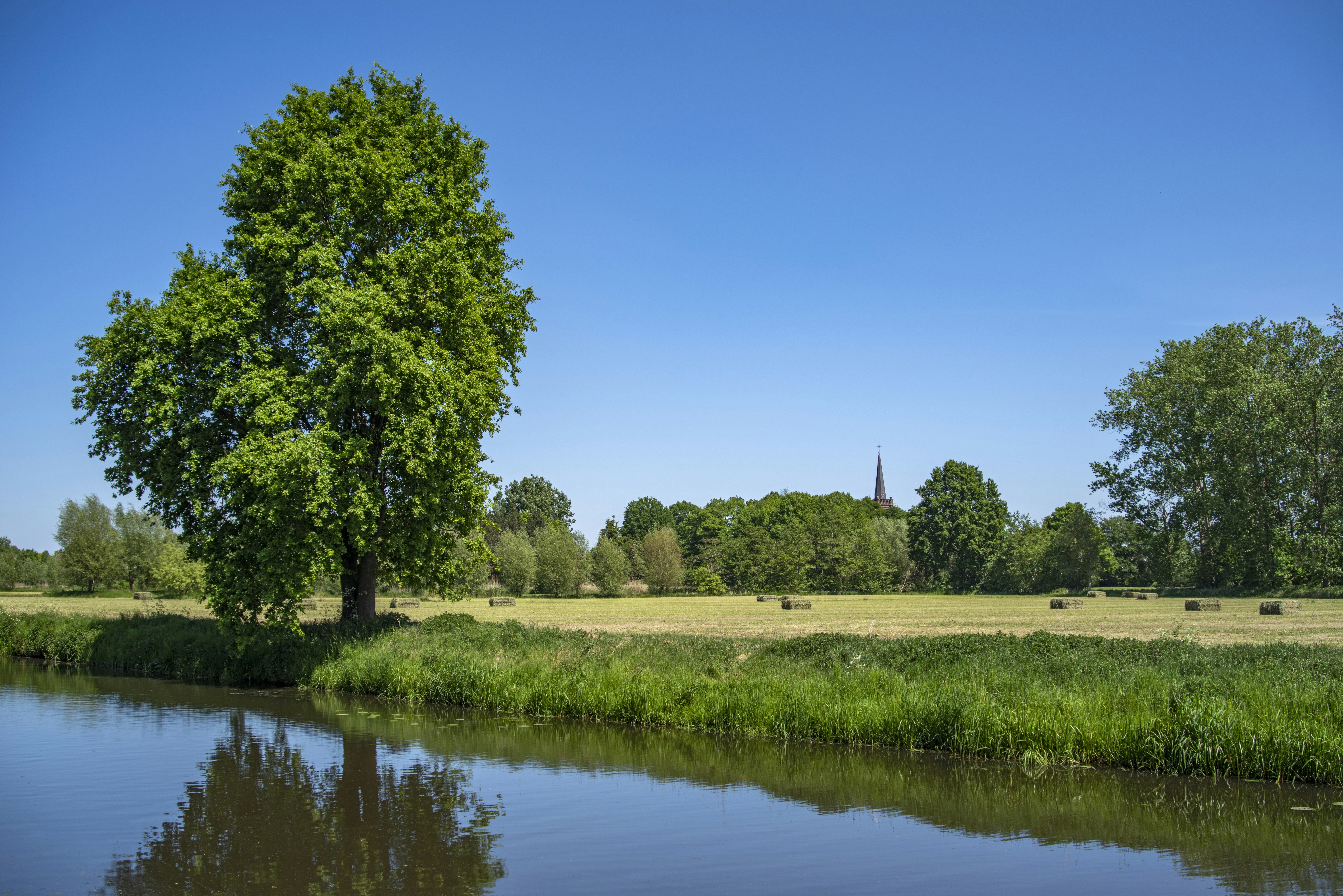 Photo by switch_dtp_fotografie