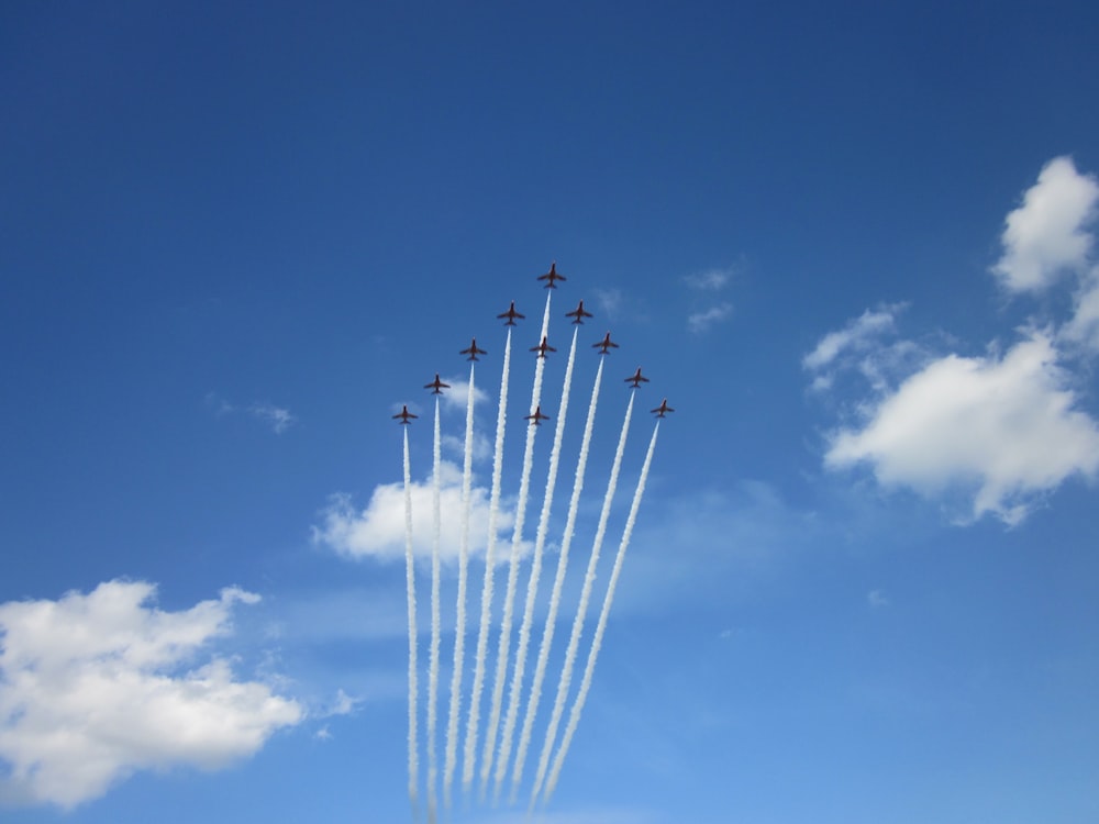 flock of birds flying under blue sky during daytime