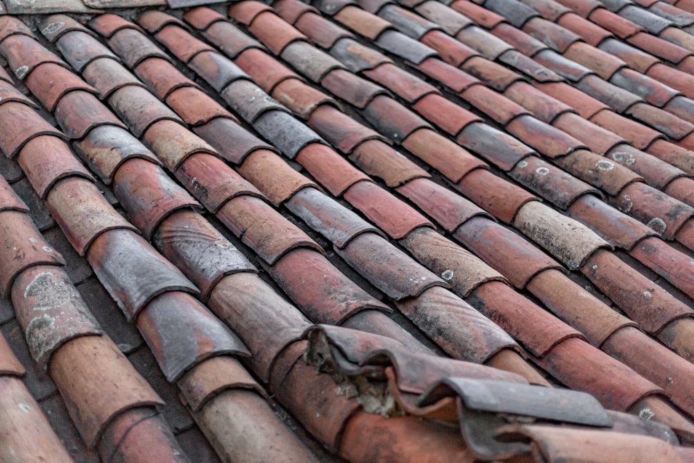 brown roof tiles in close up photography