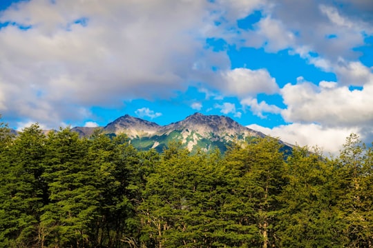green trees and mountain under blue sky and white clouds during daytime in Neuquén Argentina