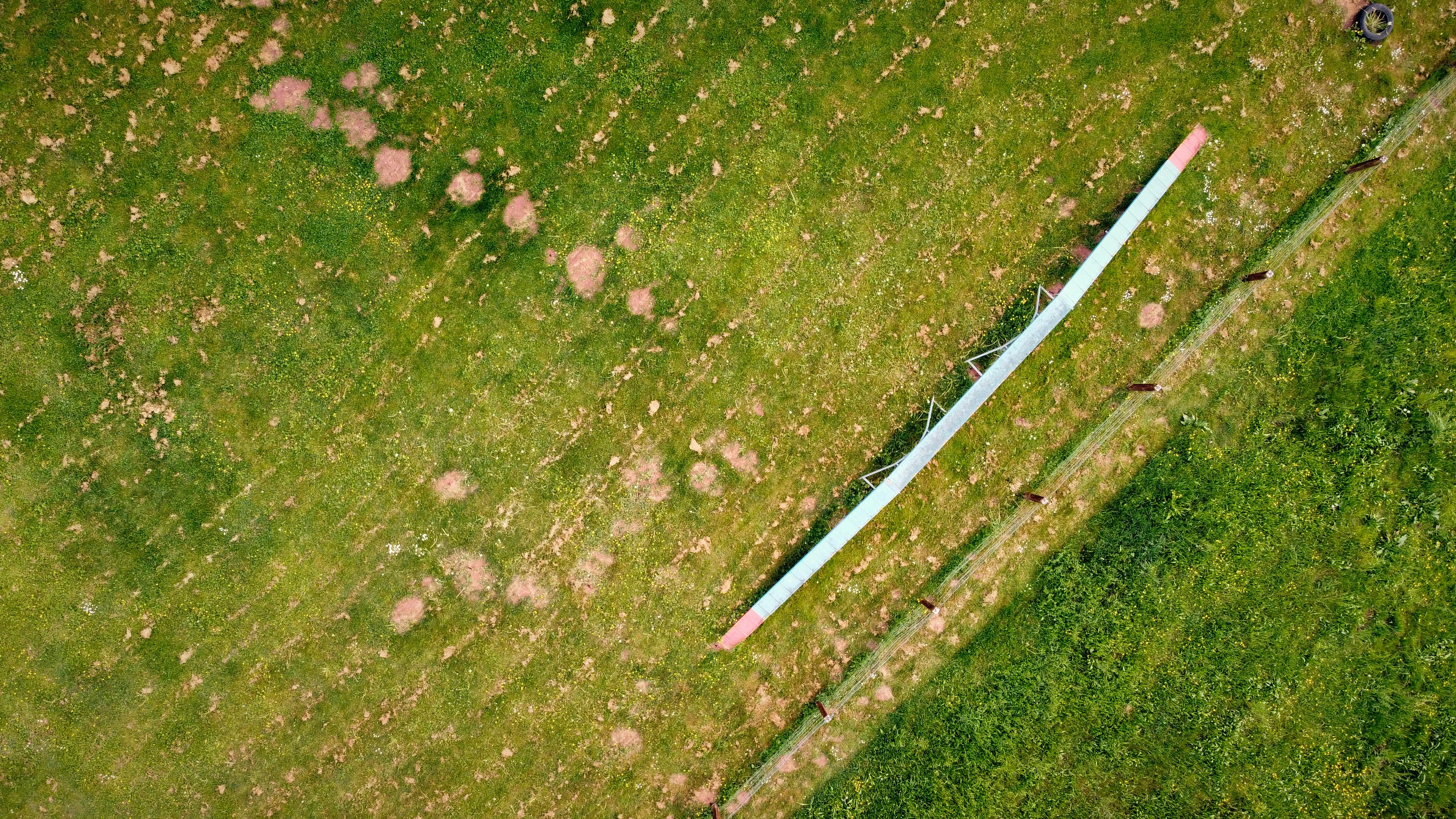 An aerial view of a baseball bat laying in the grass photo – Free ...