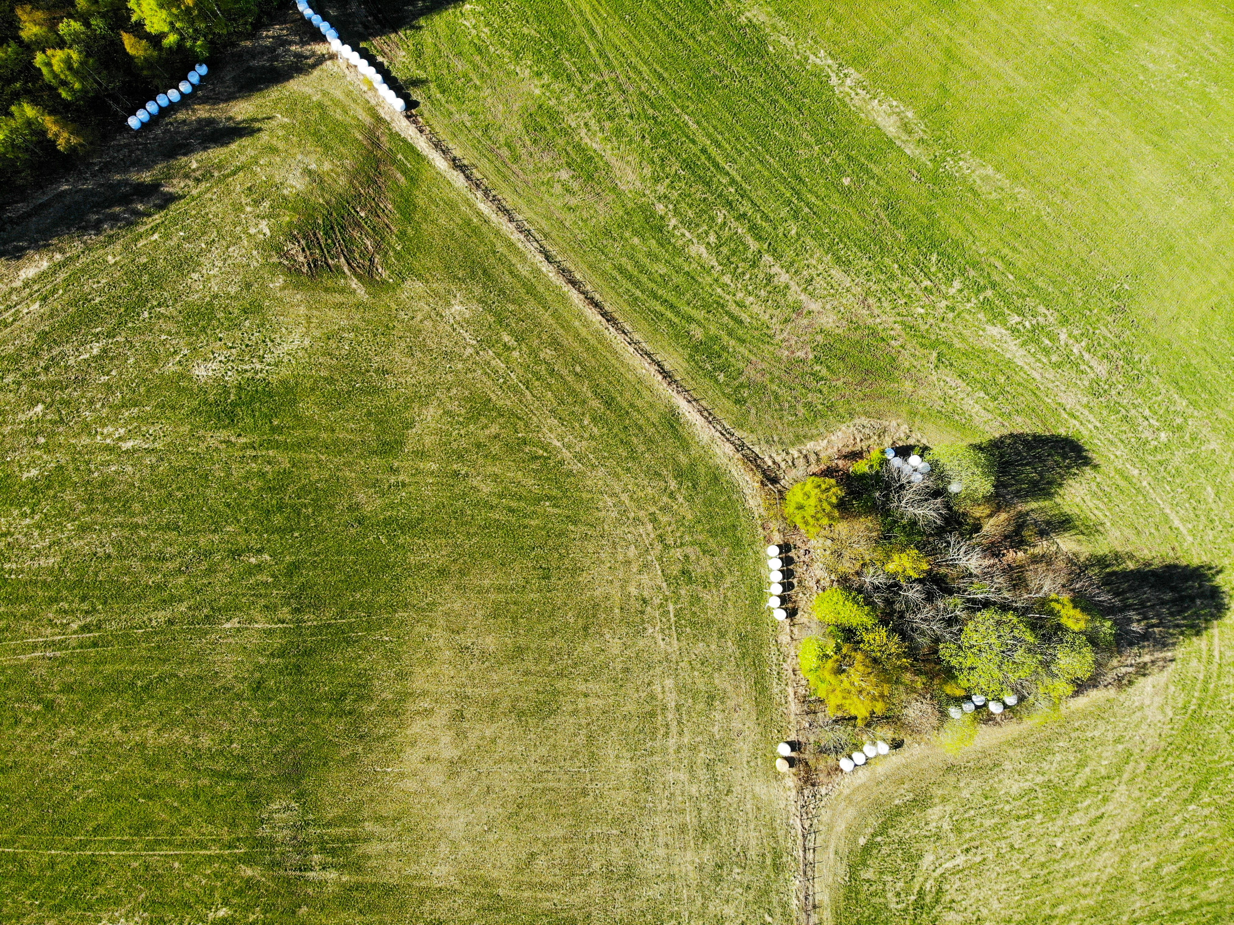 Photo by aleksander04