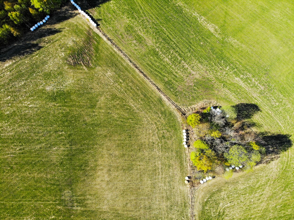 green grass field during daytime