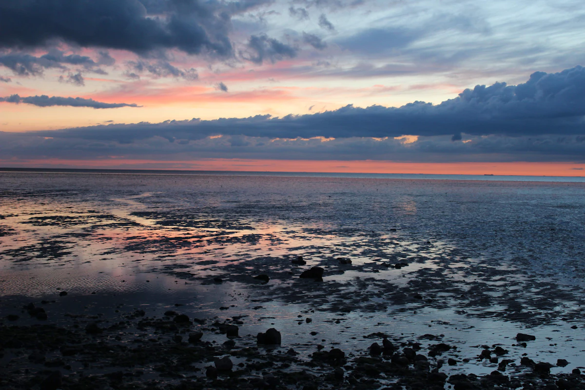 Dusk over the tidal flats, pink and slate blue reflected in the wet sand