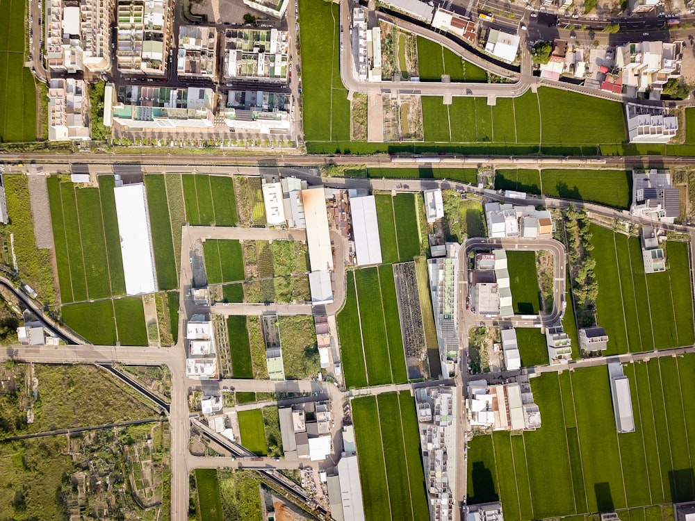 aerial view of green grass field