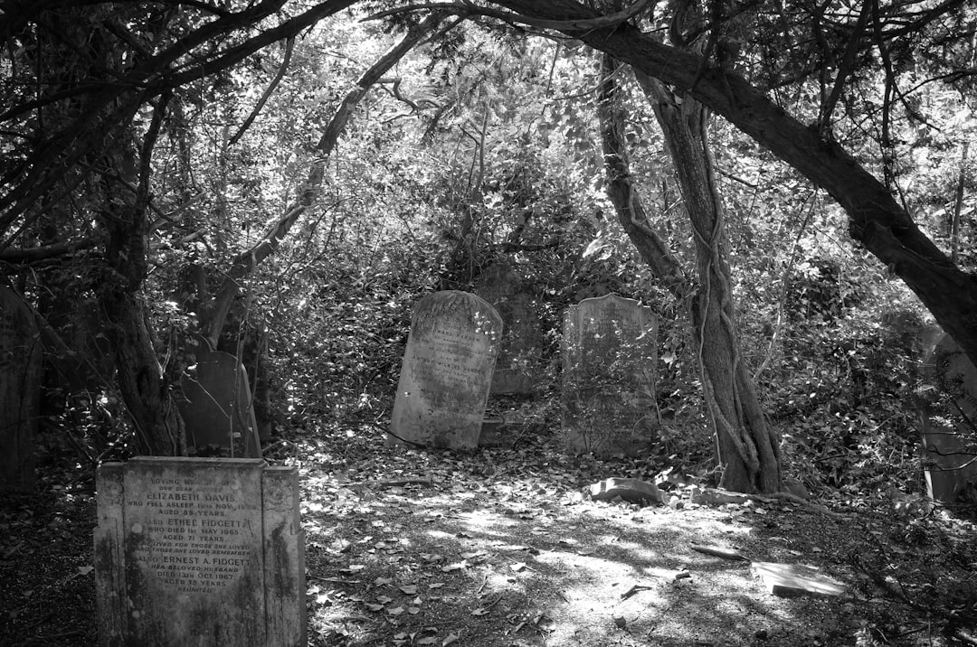 grayscale photo of trees and plants