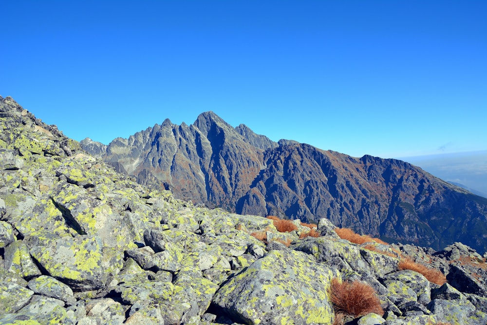 rocky mountain under blue sky during daytime