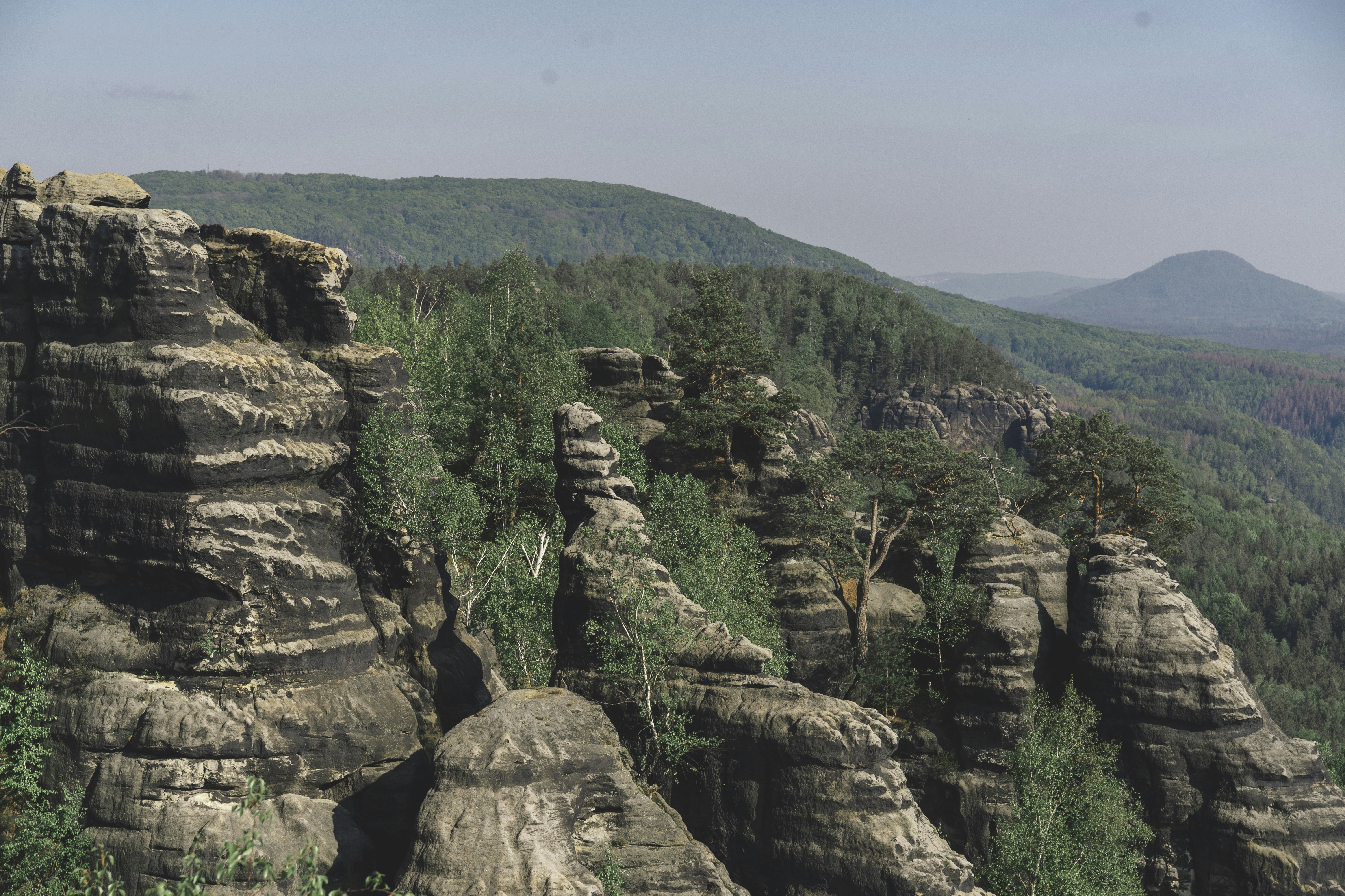 green trees on brown rocky mountain during daytime