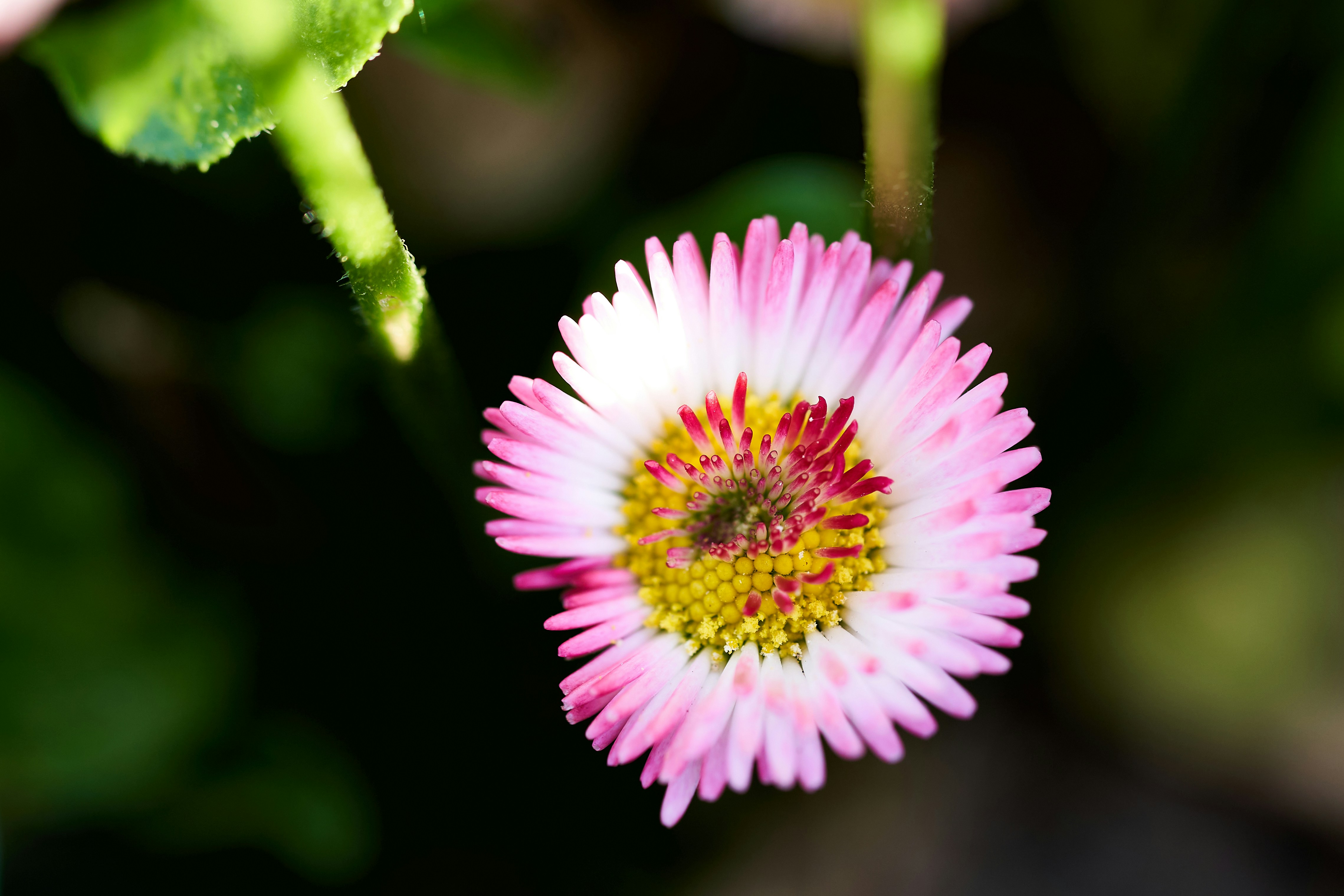 Photo by ingodoerrie