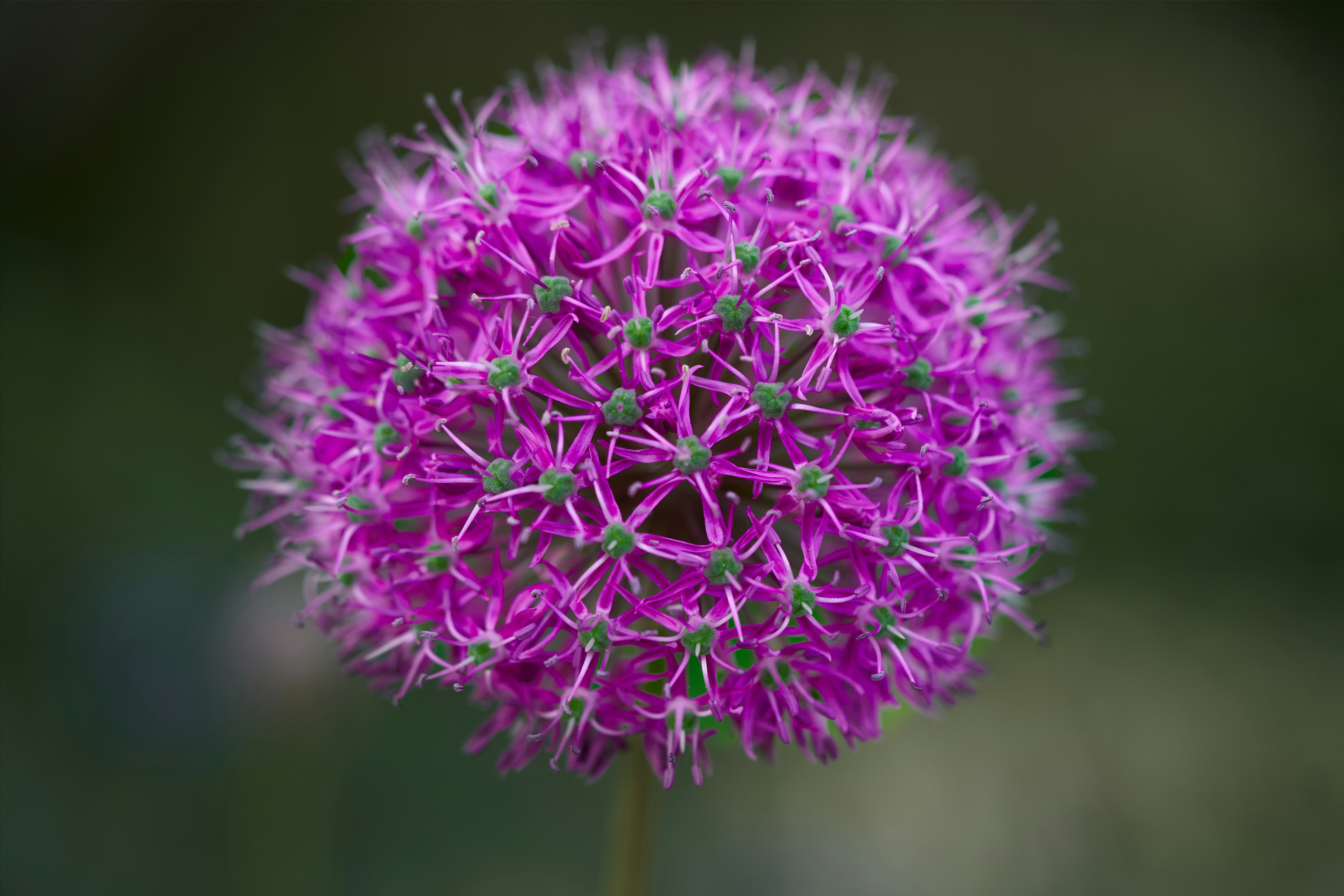 Photo by ingodoerrie