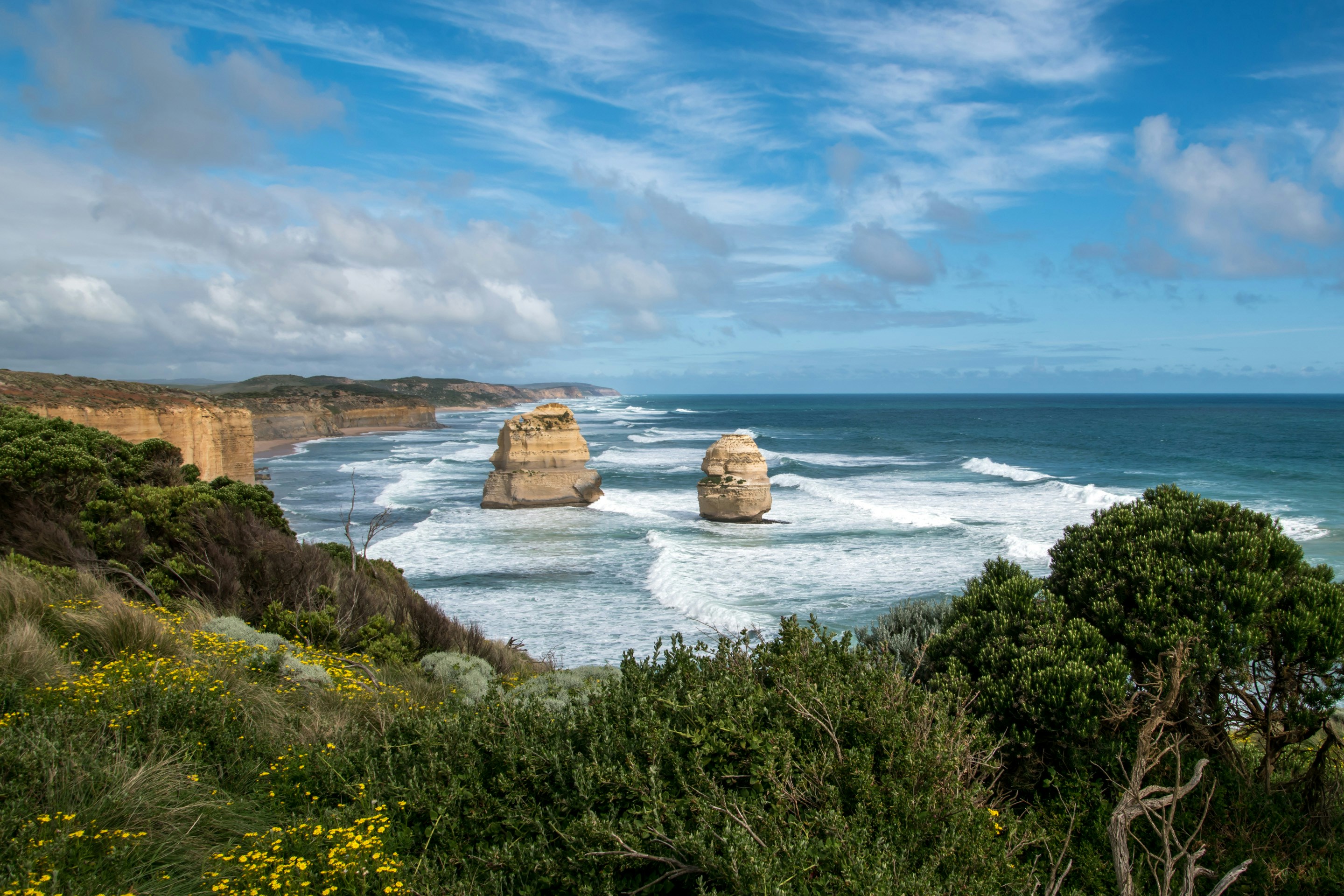 green grass near body of water during daytime, Great Ocean Road, Australia