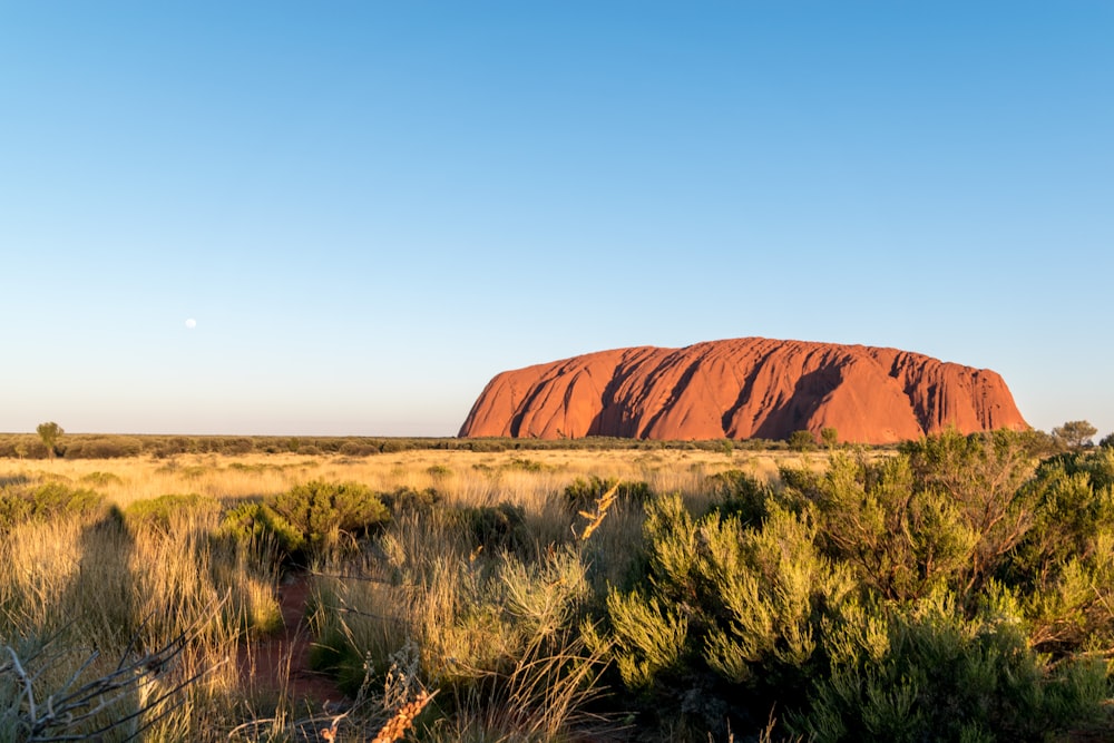 brown mountain under blue sky during daytime