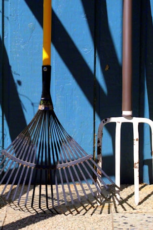 Two gardening tools, a rake and a pitchfork, are propped against a blue wooden wall. The rake has a yellow handle and black tines, while the pitchfork has a white metal head and a brown handle. Shadows from the tools and the background are cast on the wall and ground.