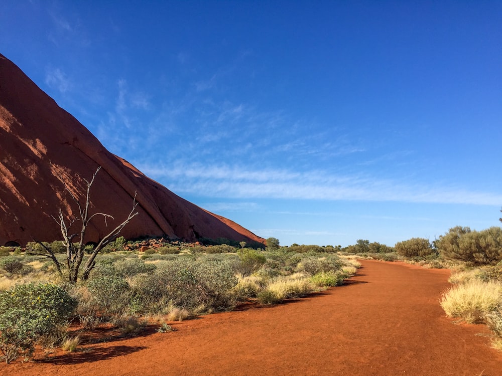 brown sand near green grass under blue sky during daytime