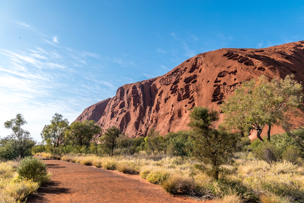 brown rock formation near green trees under blue sky during daytime