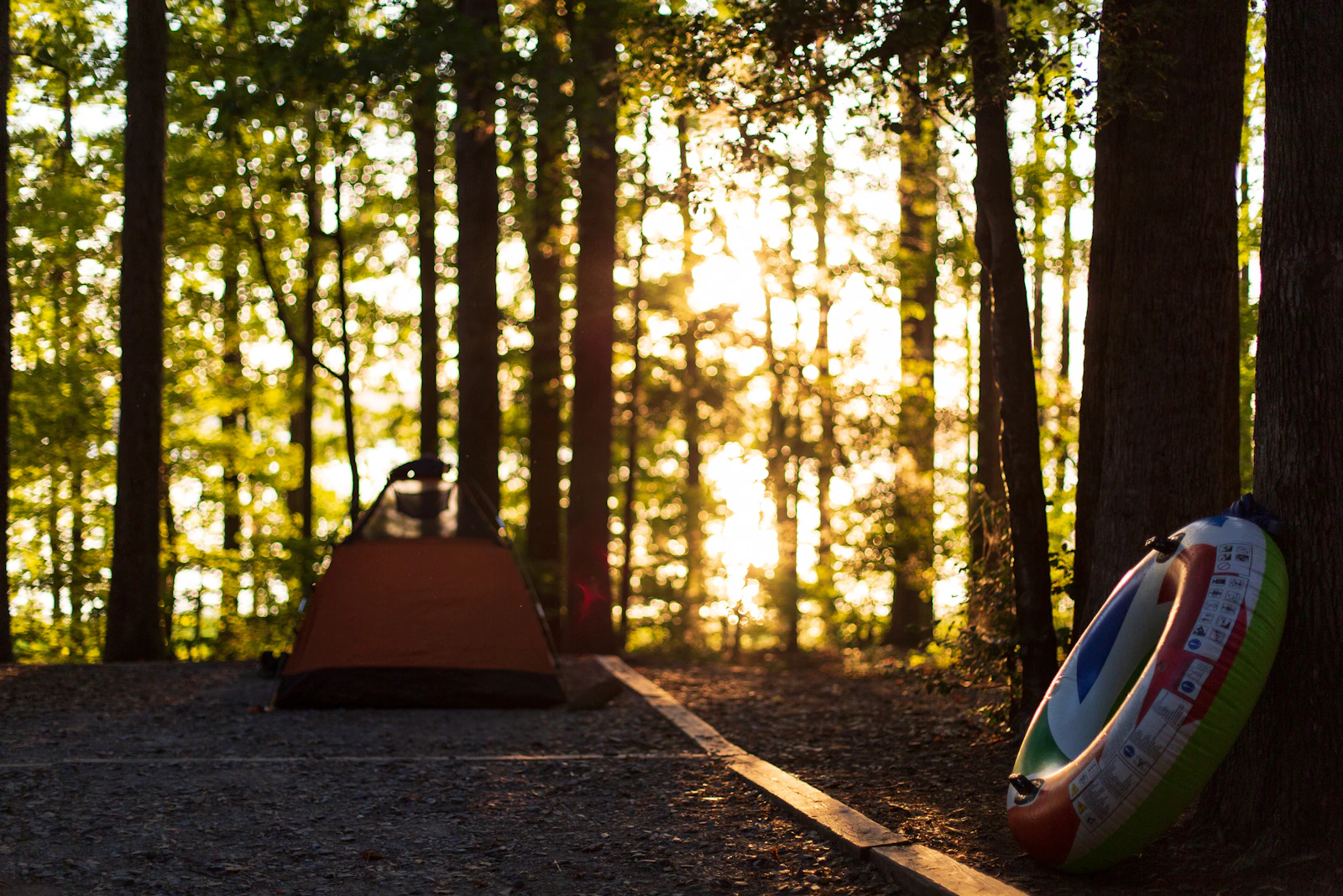Outdoor camping tent positioned near trees and water