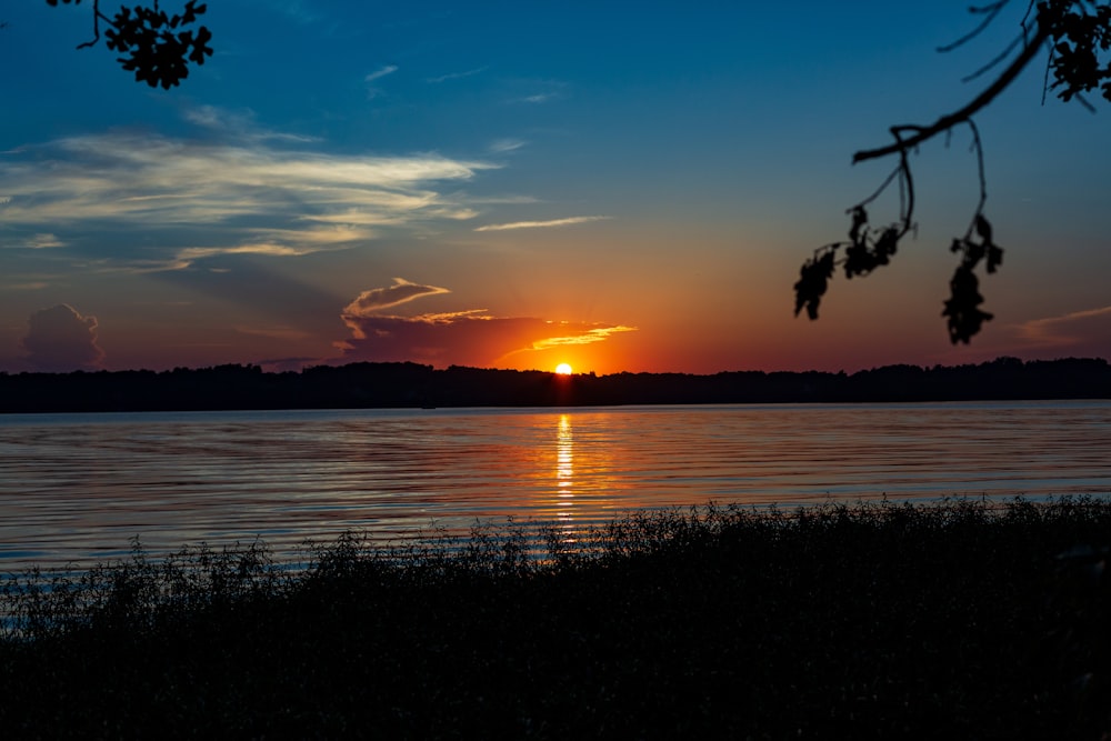 silhouette of trees near body of water during sunset