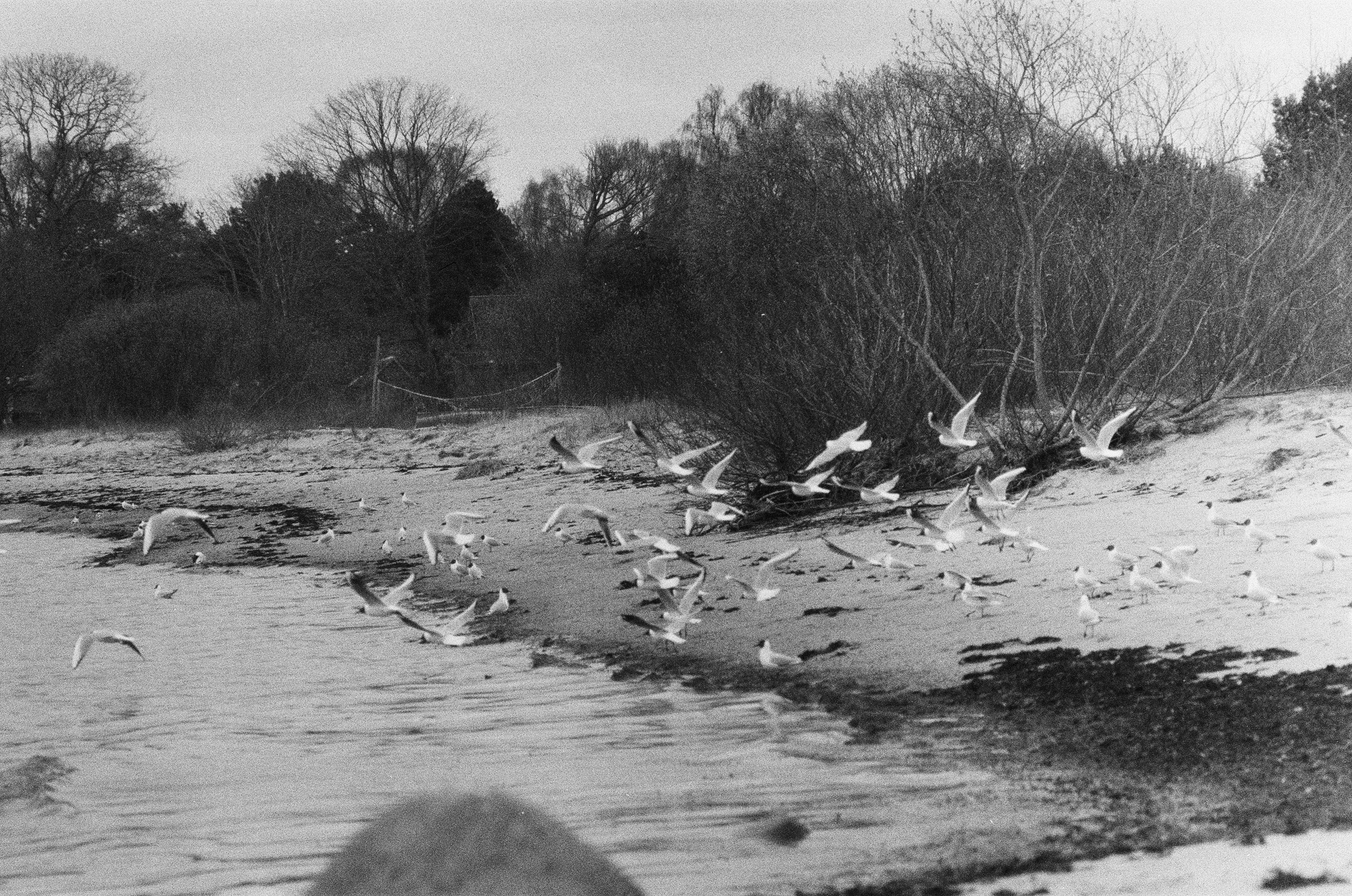 Photo by kasparseglitis