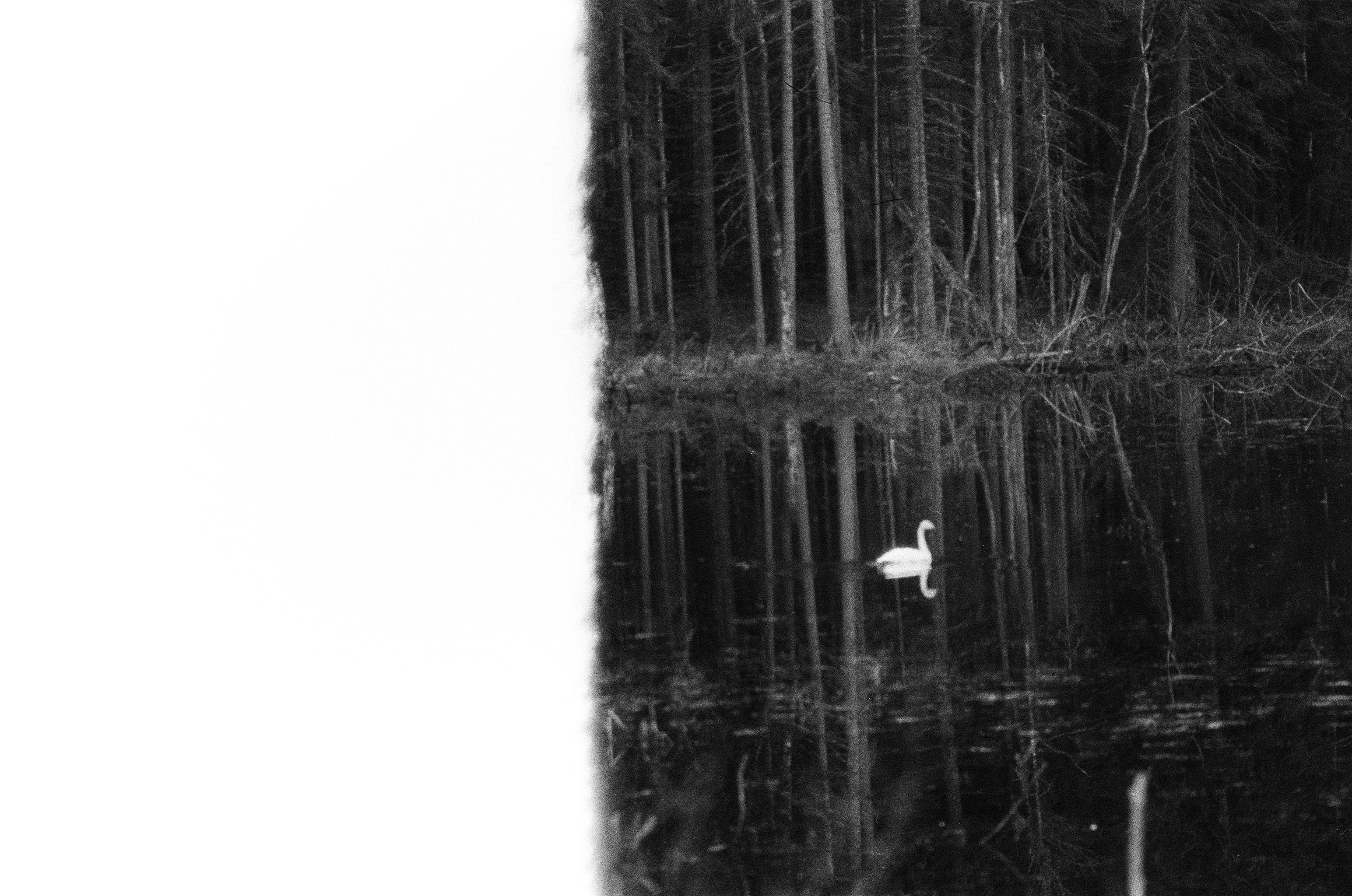 Photo by kasparseglitis