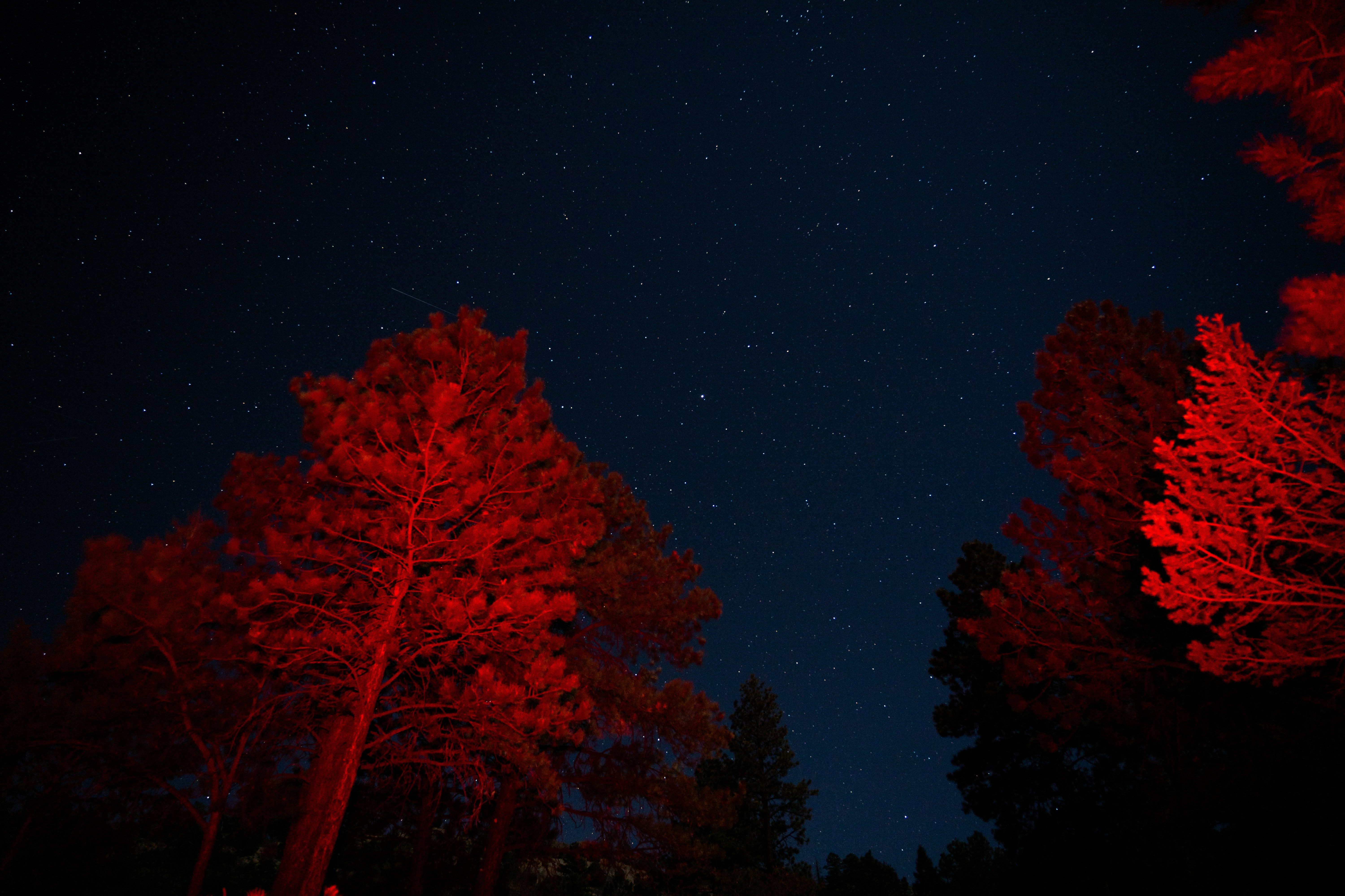 Photo by davidirelandmagnetic